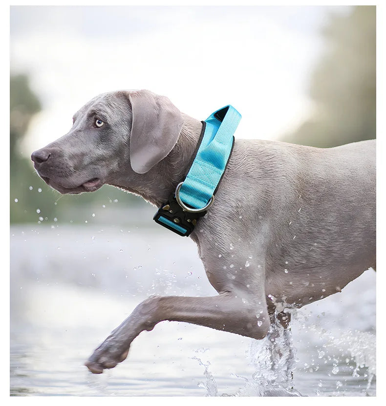 Tactical Dog Collar or Leash