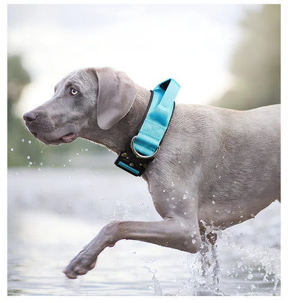 Tactical Dog Collar or Leash