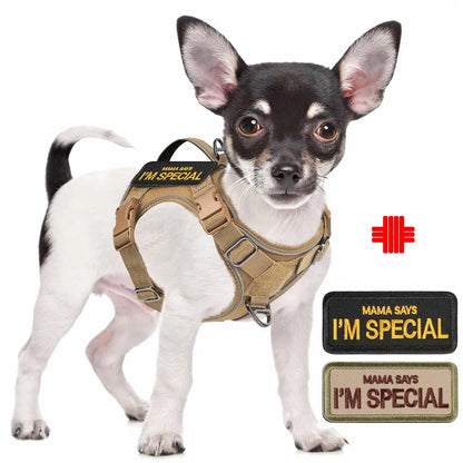 Tactical Dog Harness for Small Dogs