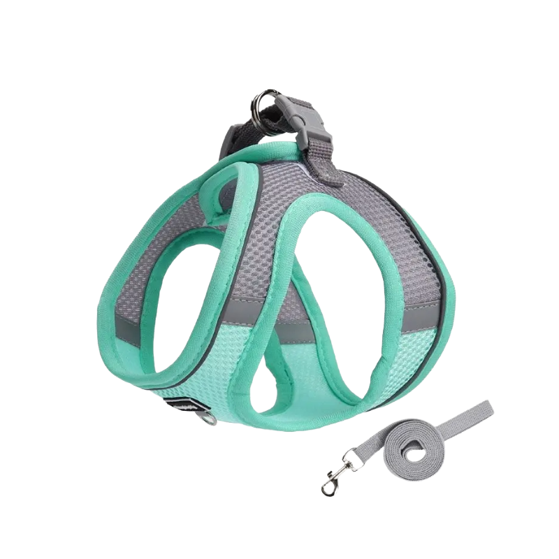 Adjustable Small Dog & Cat Harness Leash Set