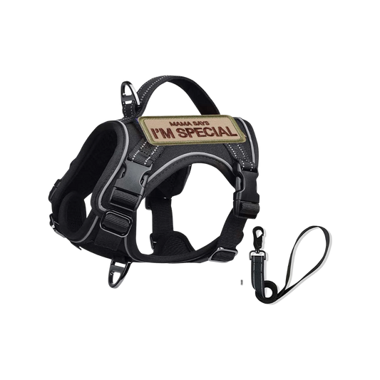 Tactical Dog Harness for Small Dogs