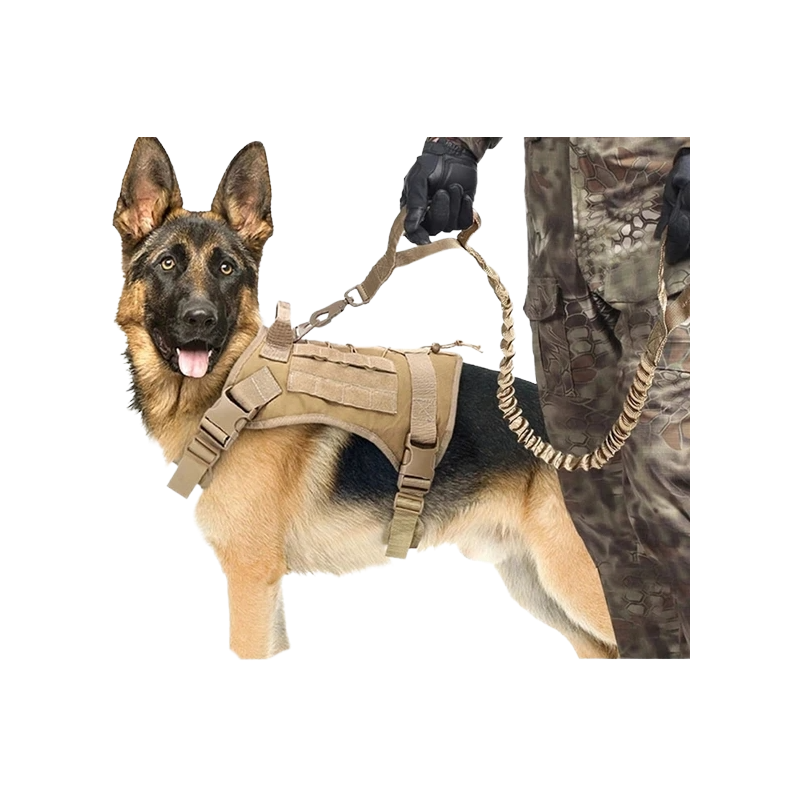 Tactical Dog Harness & Leash Set with Collar