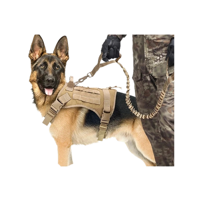 Tactical Dog Harness & Leash Set with Collar