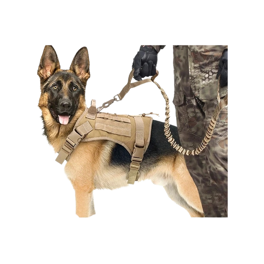 Tactical Dog Harness & Leash Set with Collar