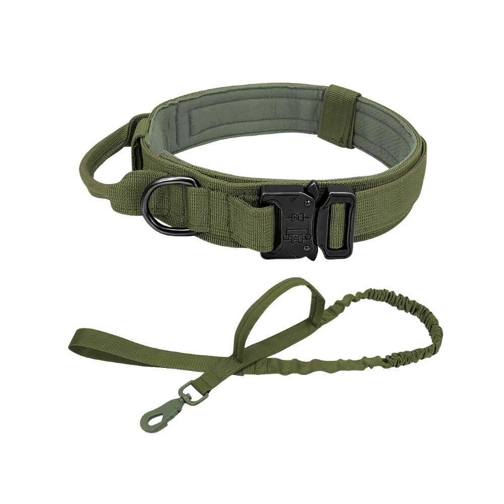 Tactical Dog Collar & Bungee Leash Set